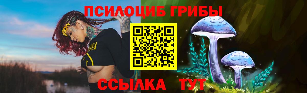 хочу   Псилоцибиновые грибы Cubensis  Можайск  Вход с VPN  Псилоцибиновые грибы MAGIC MUSHROOMS 